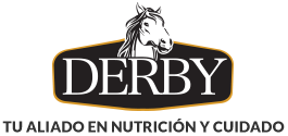 Derby